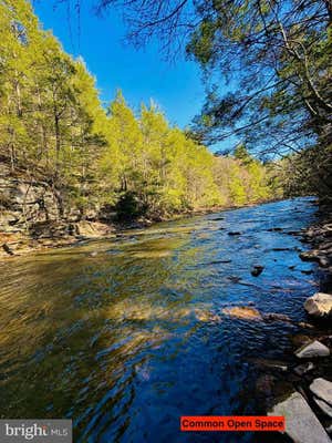 LOT: 43 PARADISE POINT, JAMES CREEK, PA 16657, photo 5 of 8