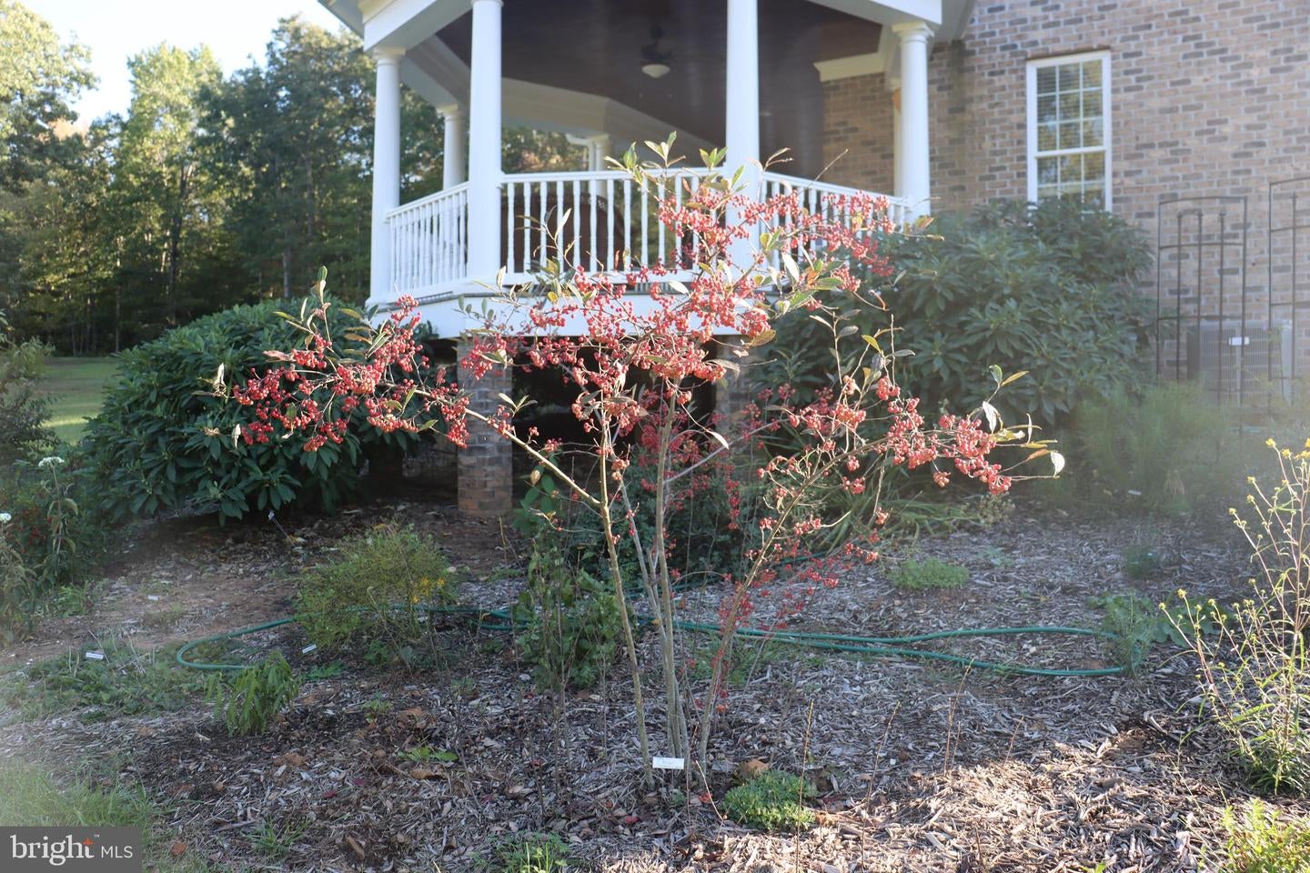 Bumpass, Virginia, 23024, United States, 1 Bedroom Bedrooms, ,2 BathroomsBathrooms,Residential,Active,1953381