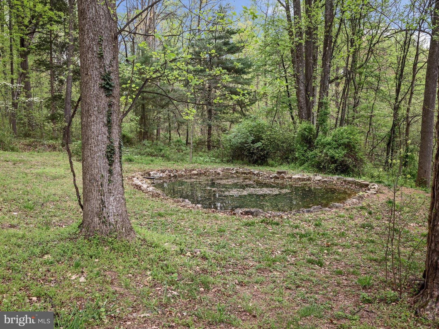 Winchester, Virginia, 22602, United States, 4 Bedrooms Bedrooms, ,4 BathroomsBathrooms,Residential,Active,1771431