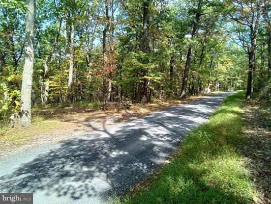 SUPINLICK RIDGE ROAD, MOUNT JACKSON, VA 22842 - Image 1