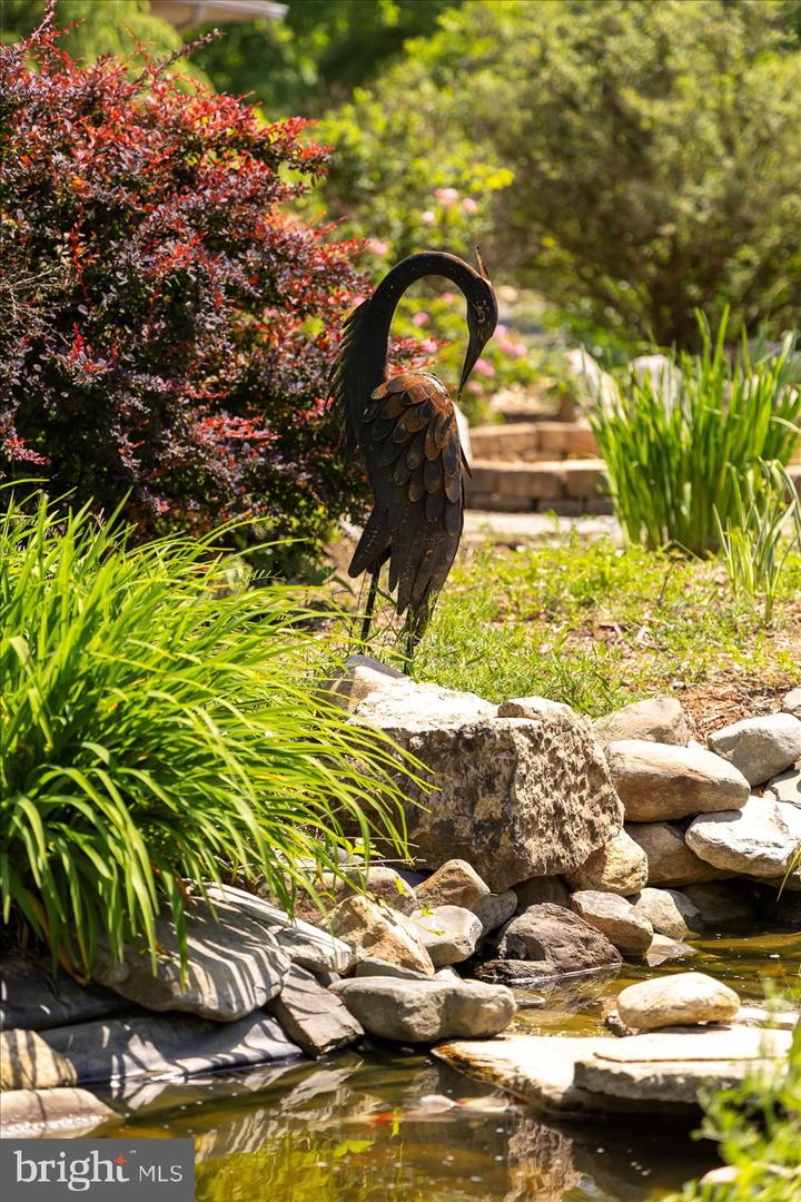 Rhoadesville, Virginia, 22542, United States, 3 Bedrooms Bedrooms, ,3 BathroomsBathrooms,Residential,Active,1769999