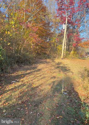 LOT 3 - 2.062 AC PRIVATE LANE SW, WORTON, MD 21678 - Image 1