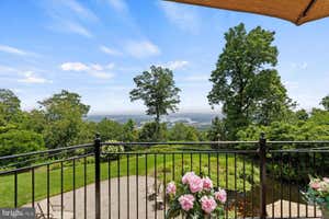 Property 38
