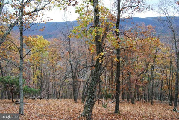 LOT 183 LOCKINGER RIDGE ROAD, MOOREFIELD, WV 26836 - Image 1