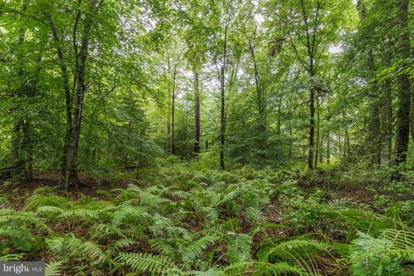 LAUREL BOWIE - PARCEL 36, LAUREL, MD 20707 - Image 1