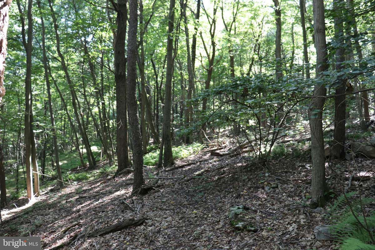 LOT 319 RIDGE RUN, CLAYSBURG, PA 16625, photo 1 of 4