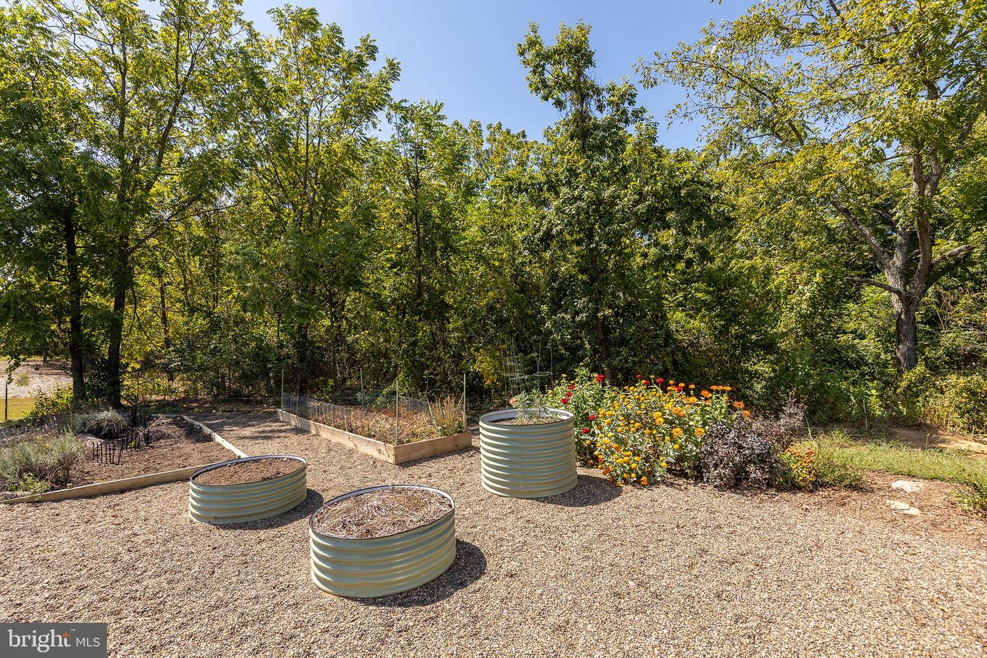 Berryville, Virginia, 22611, United States, 4 Bedrooms Bedrooms, ,4 BathroomsBathrooms,Residential,Active,1945547