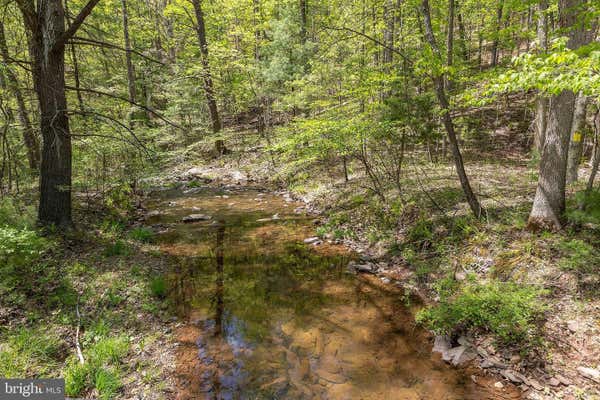 SHOCKEYSVILLE ROAD, WINCHESTER, VA 22603, photo 4 of 13