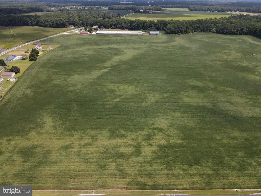 LOT 2 WOODLAND FERRY ROAD, SEAFORD, DE 19973, photo 3 of 7