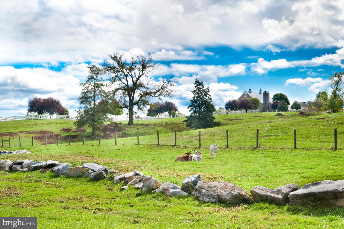 Martinsburg, West Virginia, 25404, United States, 5 Bedrooms Bedrooms, ,3 BathroomsBathrooms,Residential,Active,1936417