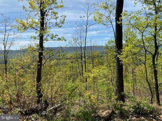 LOT 6 POLECAT HOLLOW ROAD, HOPEWELL, PA 16650 - Image 1