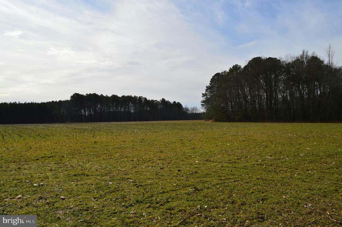 0 GILES LANE, SALISBURY, MD 21801, photo 1 of 8