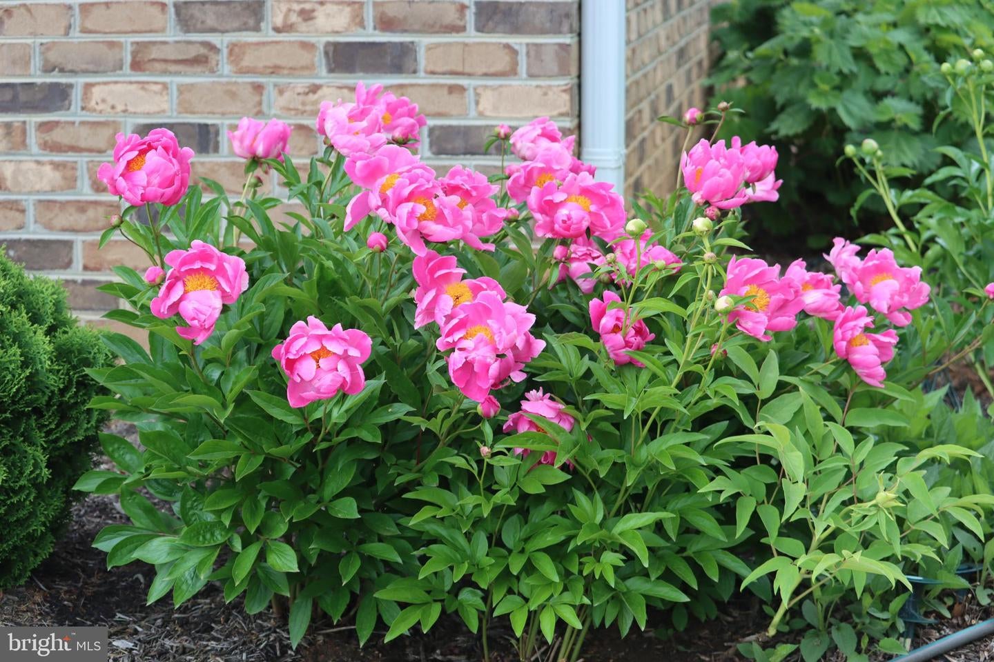 Bumpass, Virginia, 23024, United States, 1 Bedroom Bedrooms, ,2 BathroomsBathrooms,Residential,Active,1953381