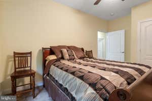Property 43