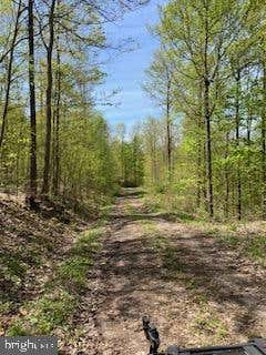 60 ACRES SHEIRER ROAD, BUFFALO MILLS, PA 15534 - Image 1