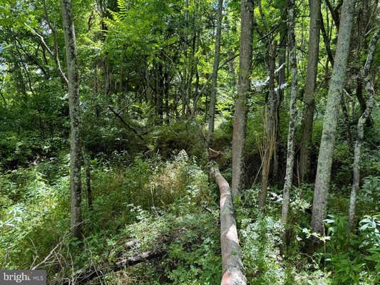 SOUTH FORK ROAD, MOOREFIELD, WV 26836, photo 2 of 13