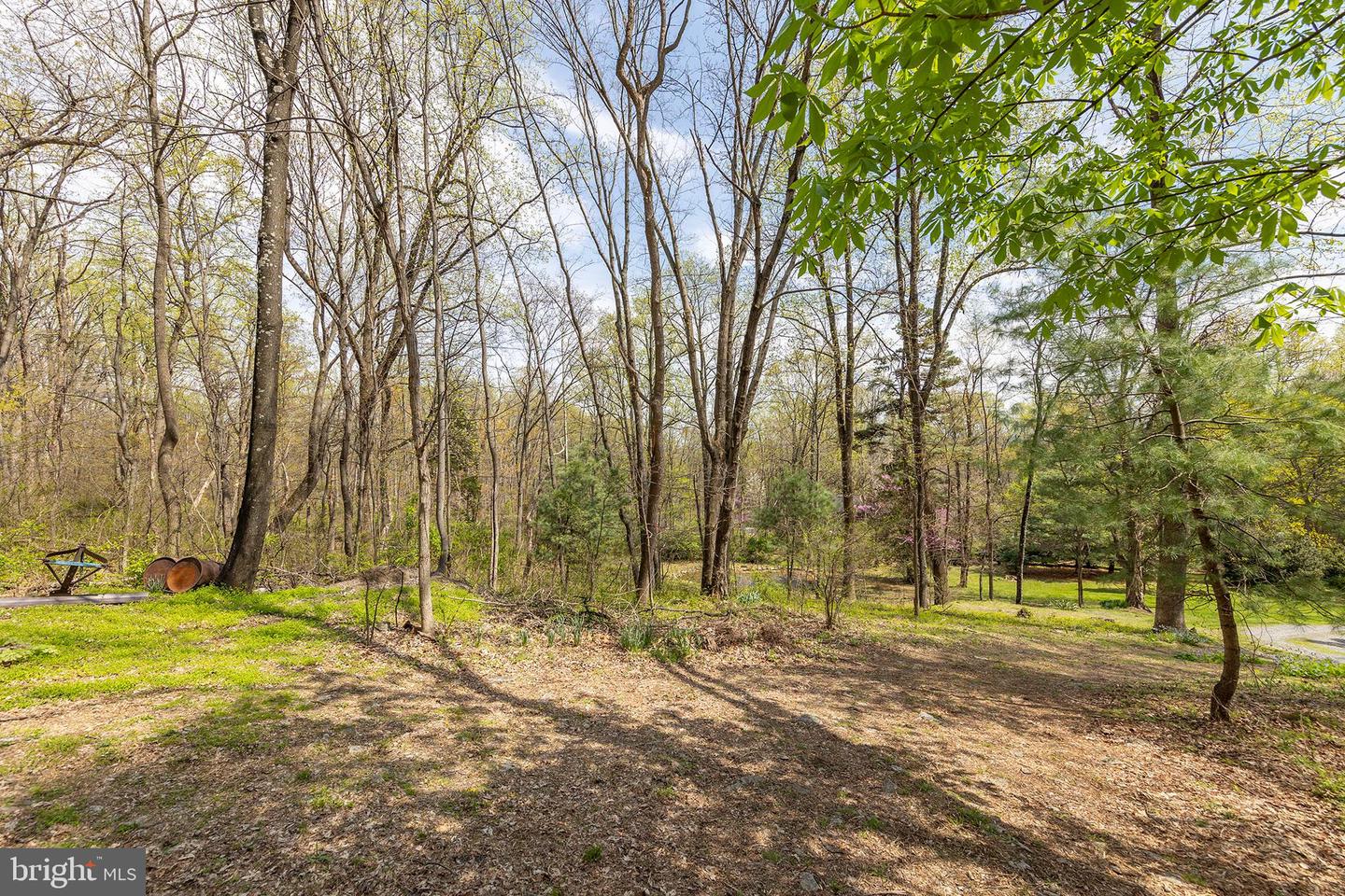 Winchester, Virginia, 22602, United States, 4 Bedrooms Bedrooms, ,4 BathroomsBathrooms,Residential,Active,2041509