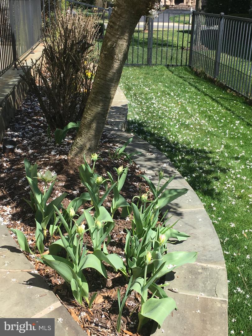 Gainesville, Virginia, 20155, United States, 3 Bedrooms Bedrooms, ,5 BathroomsBathrooms,Residential,Active,2015424