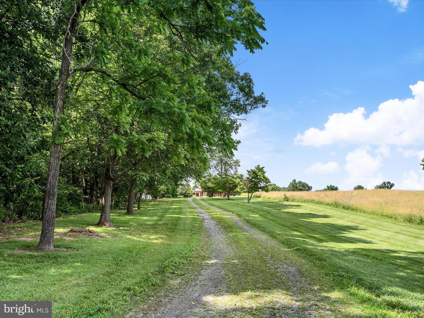Berryville, Virginia, 22611, United States, 4 Bedrooms Bedrooms, ,3 BathroomsBathrooms,Residential,Active,1884871