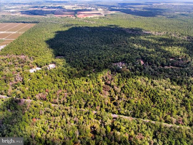 Hammonton, New Jersey, 08037, United States, 5 Bedrooms Bedrooms, ,6 BathroomsBathrooms,Residential,Active,1954441