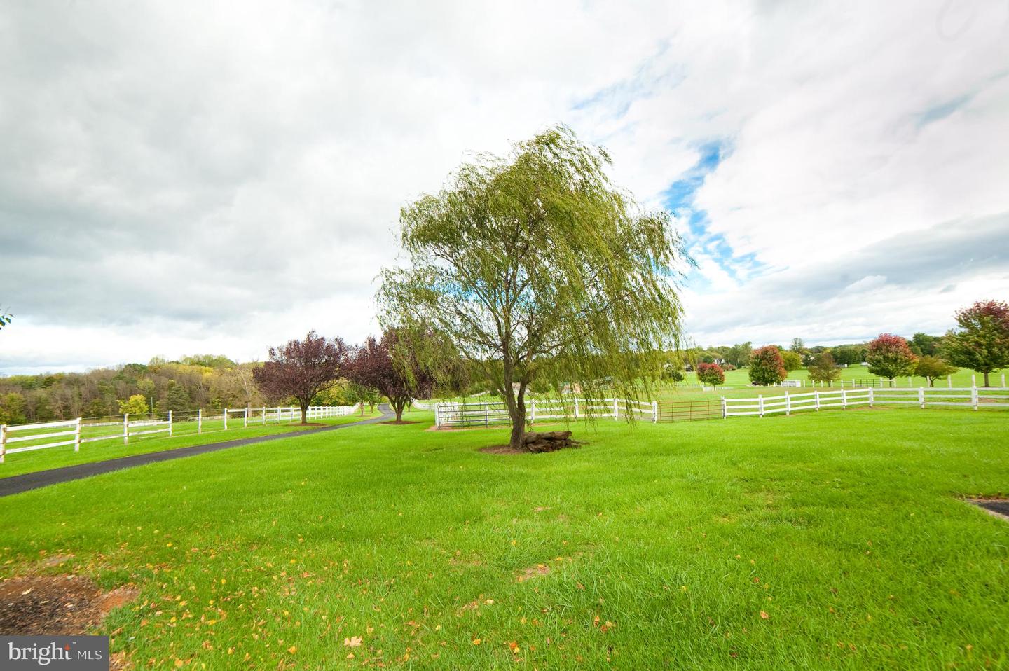 Martinsburg, West Virginia, 25404, United States, 5 Bedrooms Bedrooms, ,3 BathroomsBathrooms,Residential,Active,1936417