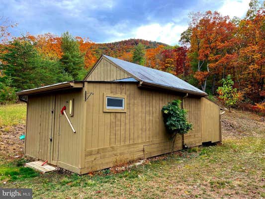 38 GRAY SQUIRREL, MOOREFIELD, WV 26836 - Image 1