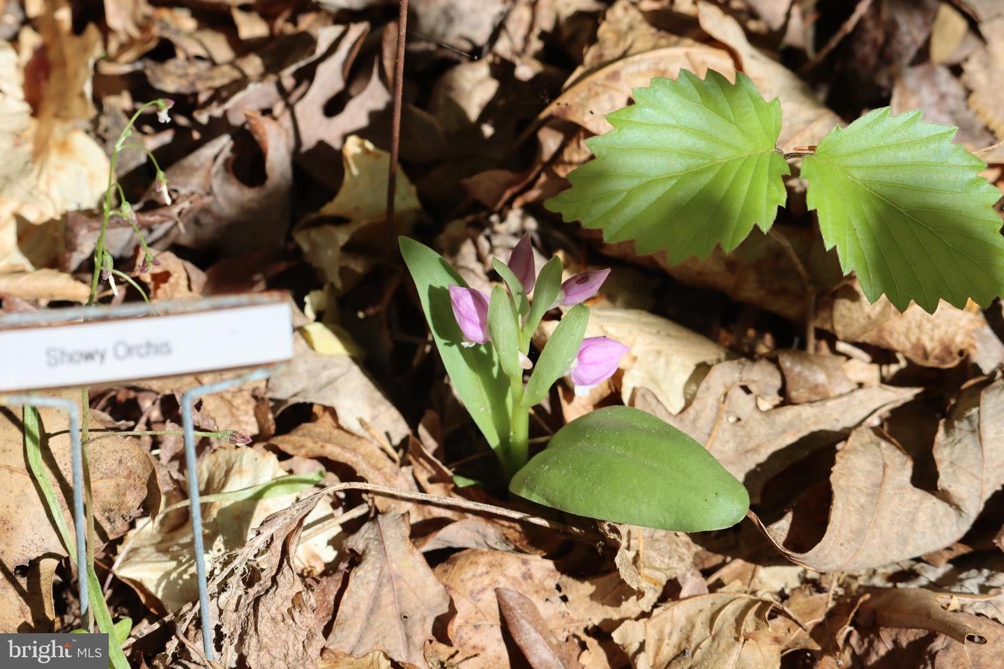 Bumpass, Virginia, 23024, United States, 1 Bedroom Bedrooms, ,2 BathroomsBathrooms,Residential,Active,1953381