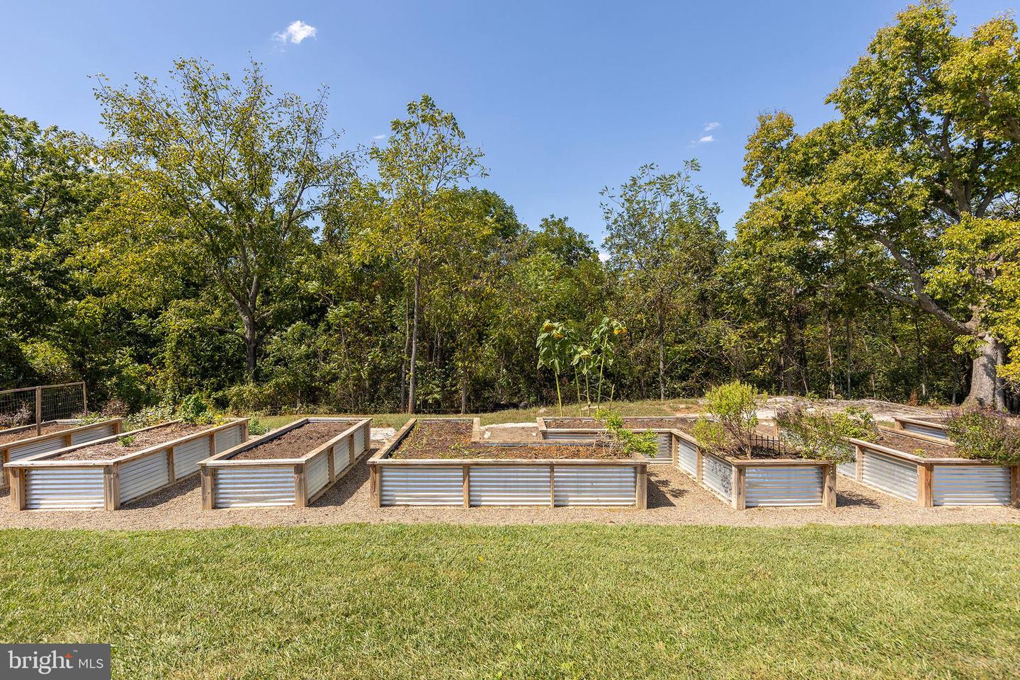 Berryville, Virginia, 22611, United States, 4 Bedrooms Bedrooms, ,4 BathroomsBathrooms,Residential,Active,1945547