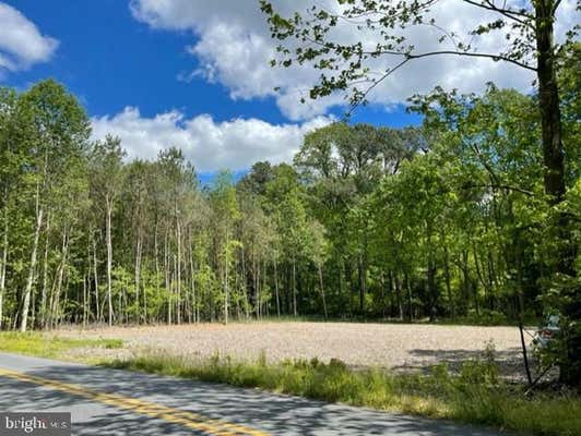 JOHNSON NECK ROAD, GIRDLETREE, MD 21829 - Image 1