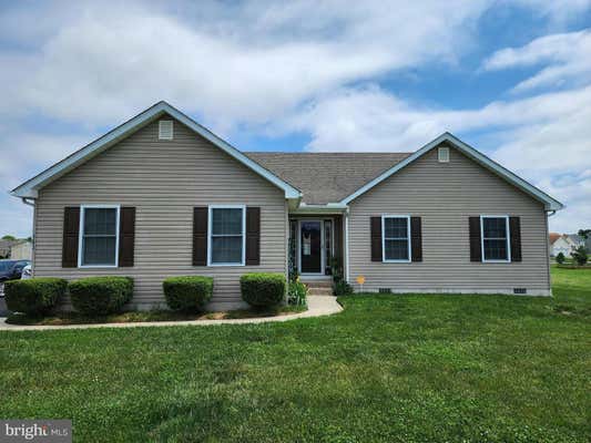 163 VELVET ANTLER DR, CLAYTON, DE 19938 - Image 1