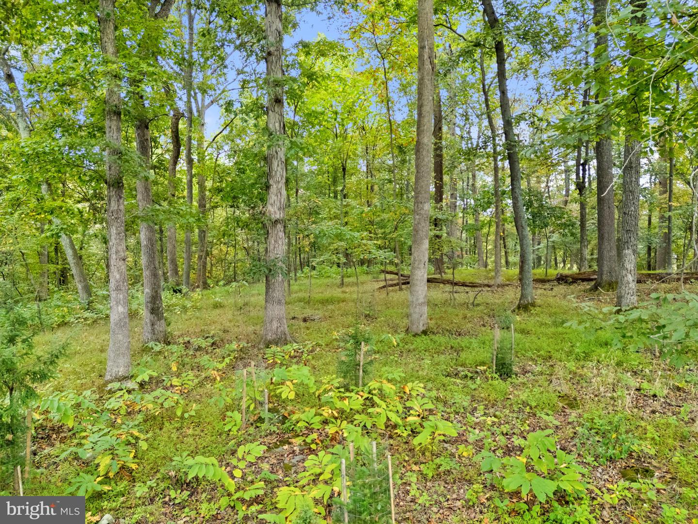 Ashburn, Virginia, 20148, United States, 5 Bedrooms Bedrooms, ,6 BathroomsBathrooms,Residential,Active,1952301