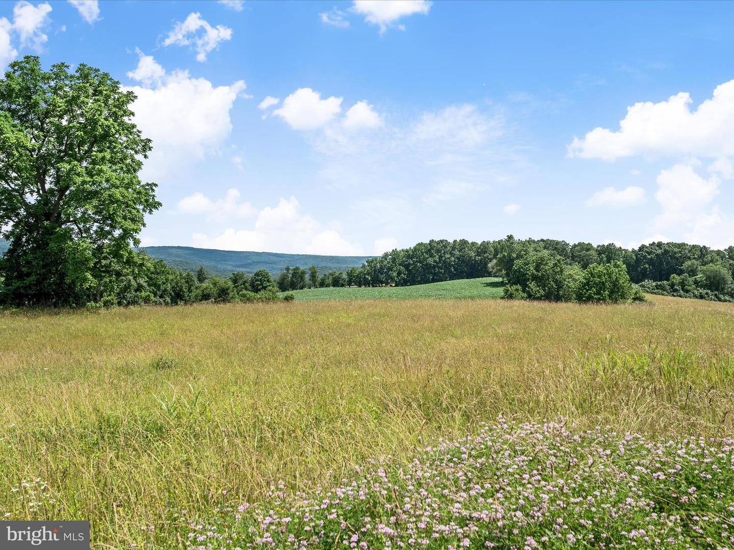 Berryville, Virginia, 22611, United States, 4 Bedrooms Bedrooms, ,3 BathroomsBathrooms,Residential,Active,1884871