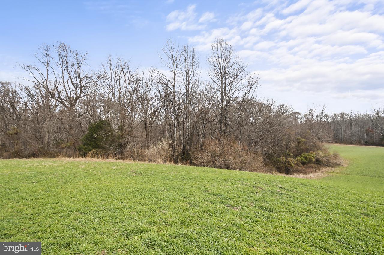 Marshall, Virginia, 20115, United States, 3 Bedrooms Bedrooms, ,2 BathroomsBathrooms,Residential,Active,2011423