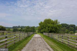 Property 85