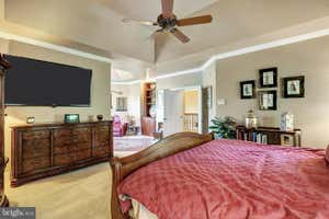 Property 46