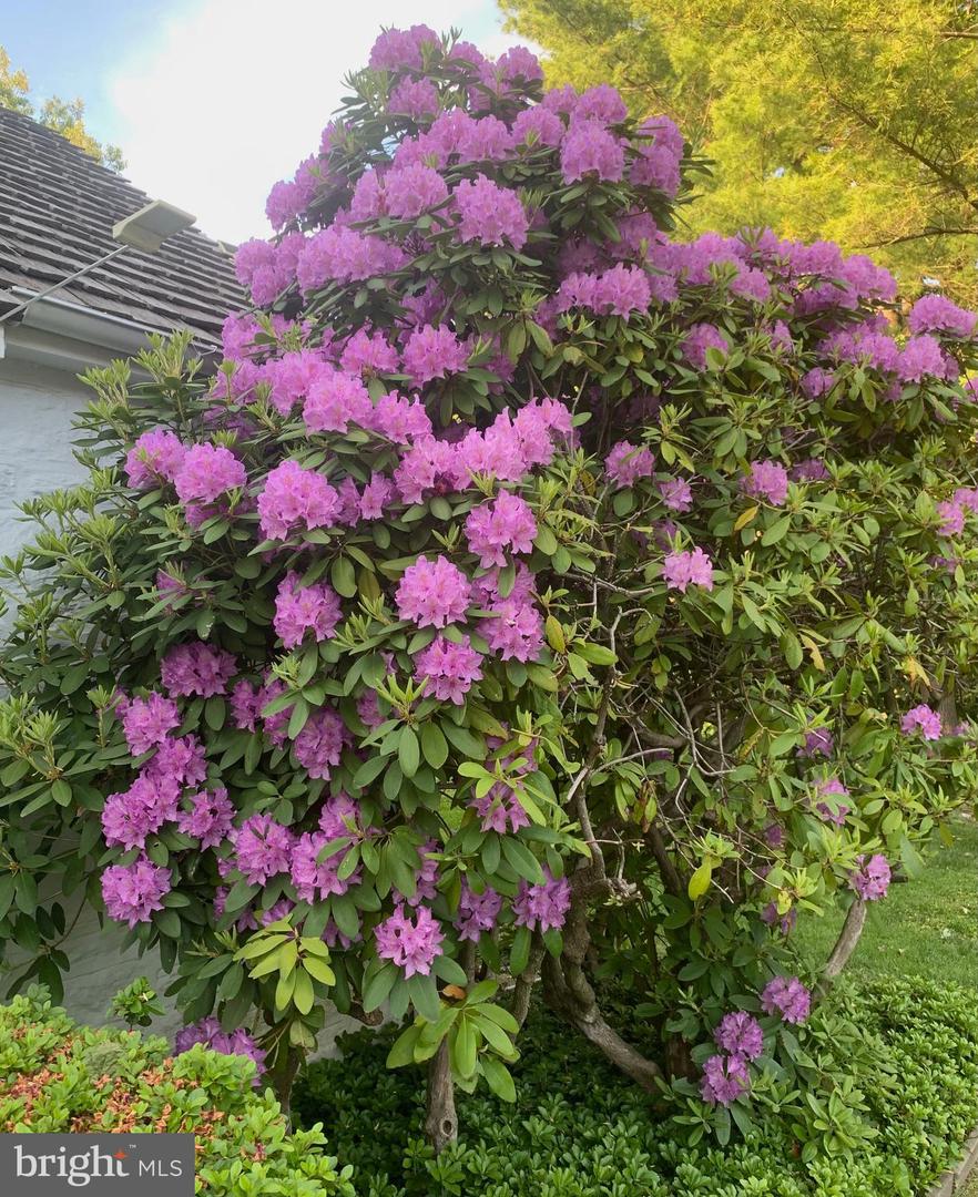 Jenkintown, Pennsylvania, 19046, United States, 6 Bedrooms Bedrooms, ,5 BathroomsBathrooms,Residential,Active,2010560