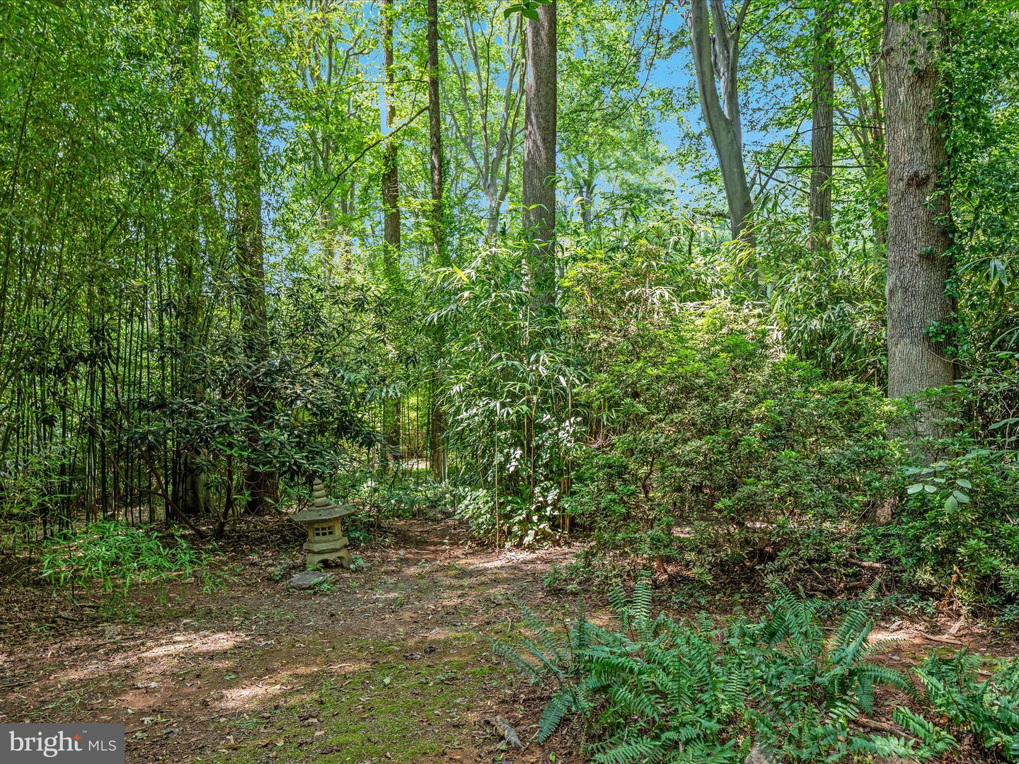 Clifton, Virginia, 20124, United States, 5 Bedrooms Bedrooms, ,5 BathroomsBathrooms,Residential,Active,1998598