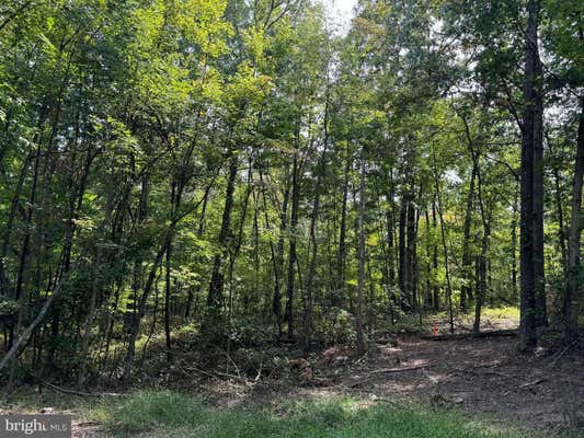 LOT 1, N TIMBER RIDGE ROAD, CROSS JUNCTION, VA 22625 - Image 1