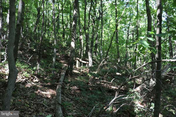 LOT 319 RIDGE RUN, CLAYSBURG, PA 16625, photo 3 of 4