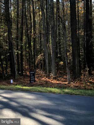 0 SIXTY FOOT RD, PARSONSBURG, MD 21849 - Image 1