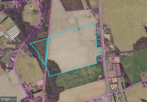 131.3 ACRES S DUPONT HIGHWAY, FELTON, DE 19943 - Image 1