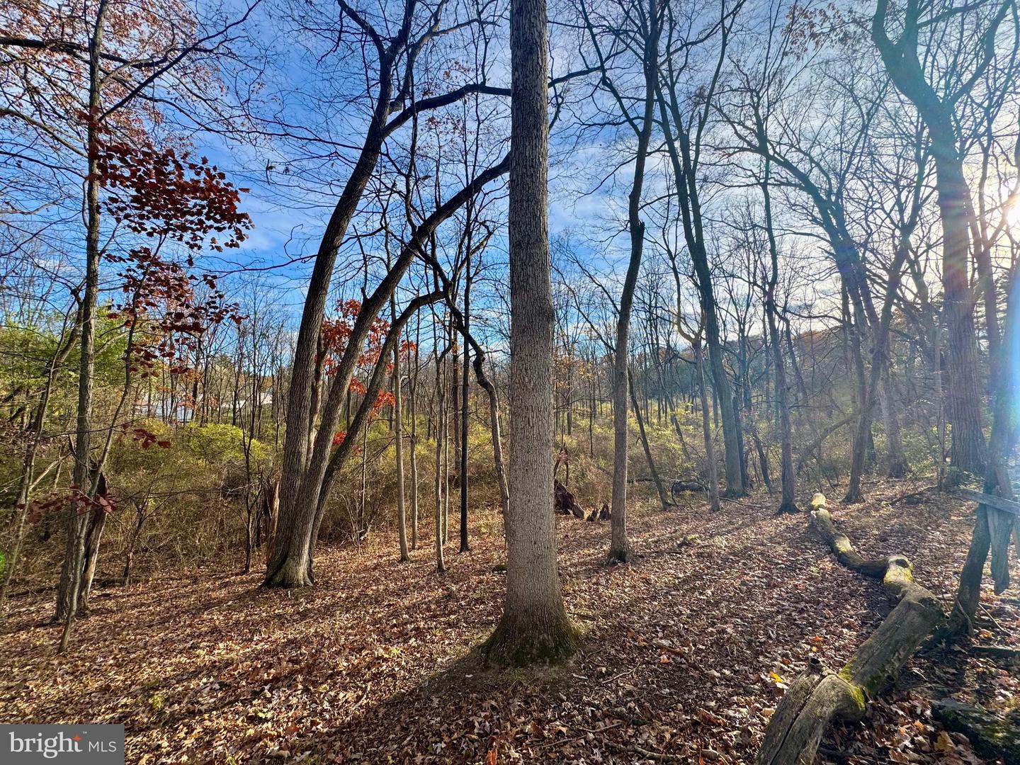 State College, Pennsylvania, 16801, United States, 4 Bedrooms Bedrooms, ,4 BathroomsBathrooms,Residential,Active,1988791