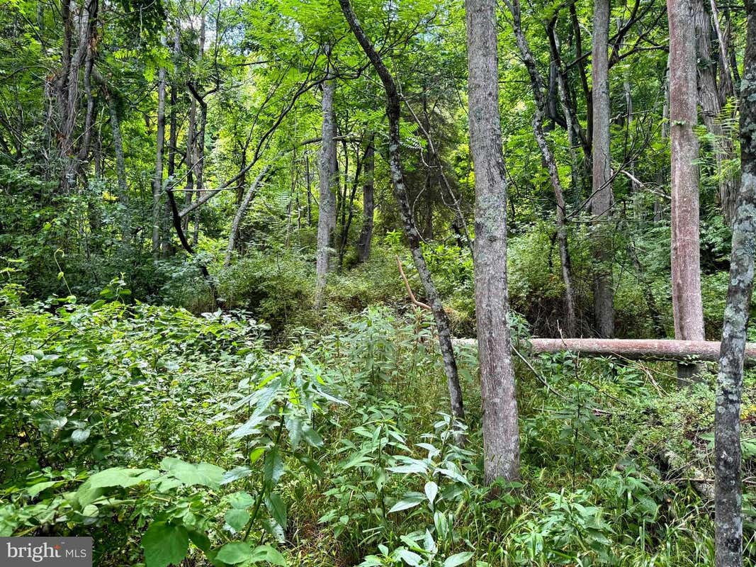 SOUTH FORK ROAD, MOOREFIELD, WV 26836, photo 1 of 13