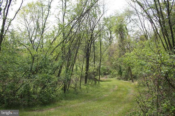 0 S PARK AVENUE, MERTZTOWN, PA 19539 - Image 1