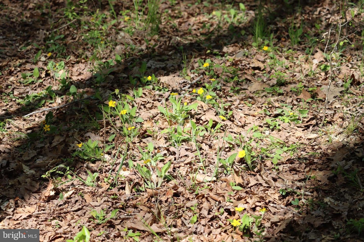 Bumpass, Virginia, 23024, United States, 1 Bedroom Bedrooms, ,2 BathroomsBathrooms,Residential,Active,1953381