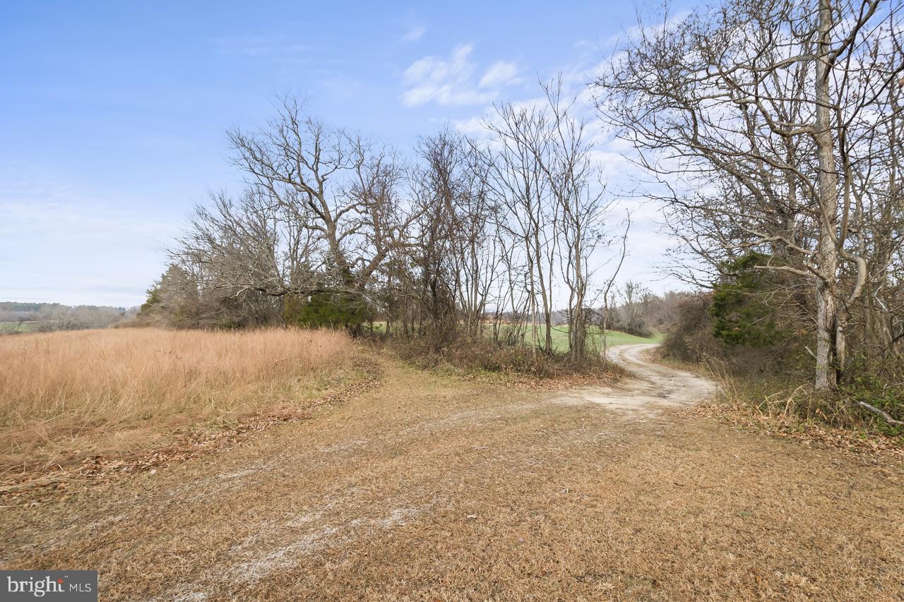 Marshall, Virginia, 20115, United States, 3 Bedrooms Bedrooms, ,2 BathroomsBathrooms,Residential,Active,2011423