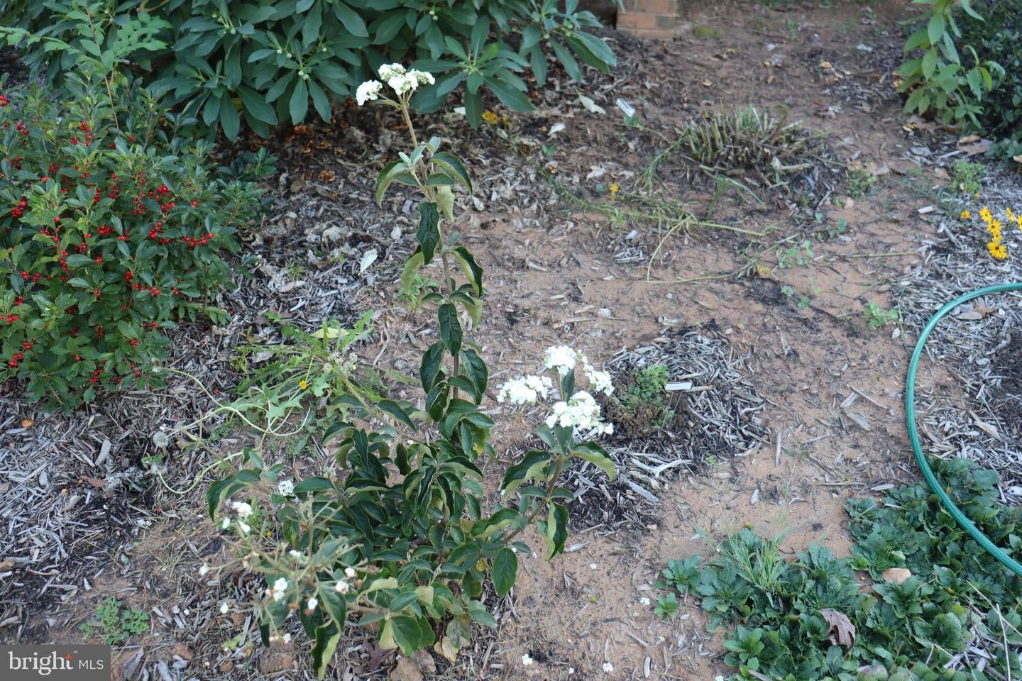 Bumpass, Virginia, 23024, United States, 1 Bedroom Bedrooms, ,2 BathroomsBathrooms,Residential,Active,1953381