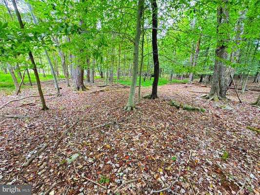 LOT 734-735 WHITE BIRCH LN, LAKE ARIEL, PA 18436 - Image 1