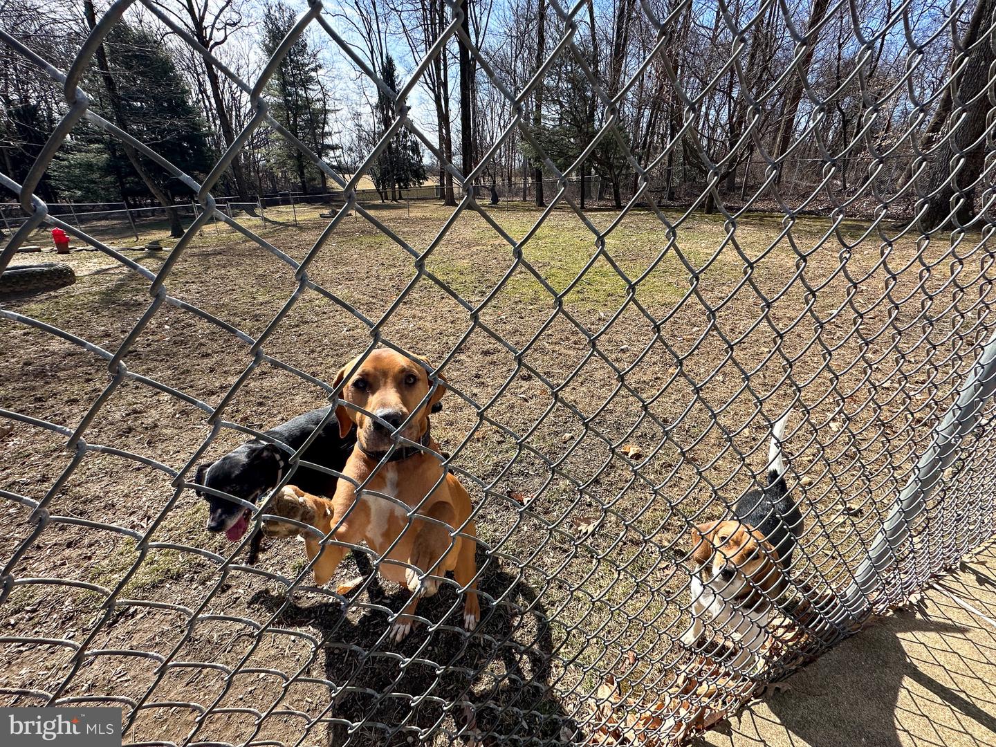 Downingtown, Pennsylvania, 19335, United States, 3 Bedrooms Bedrooms, ,2 BathroomsBathrooms,Residential,Active,1892412