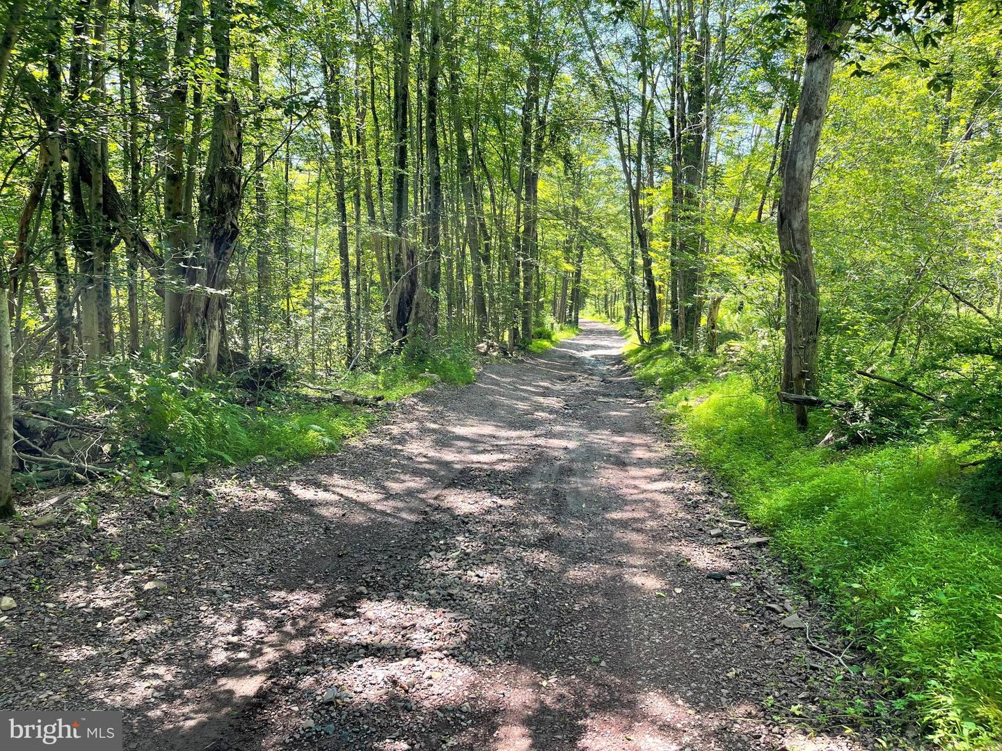 White Haven, Pennsylvania, 18661, United States, 5 Bedrooms Bedrooms, ,3 BathroomsBathrooms,Residential,Active,1888981